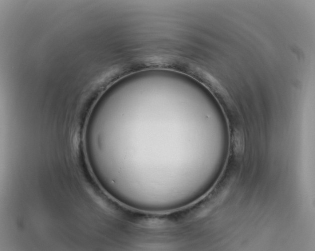 X0000114030637200910091435