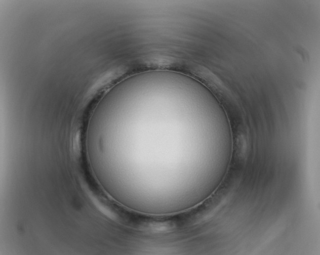 X0000114030638200910091435