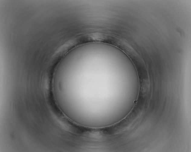 X0000114030639200910091435