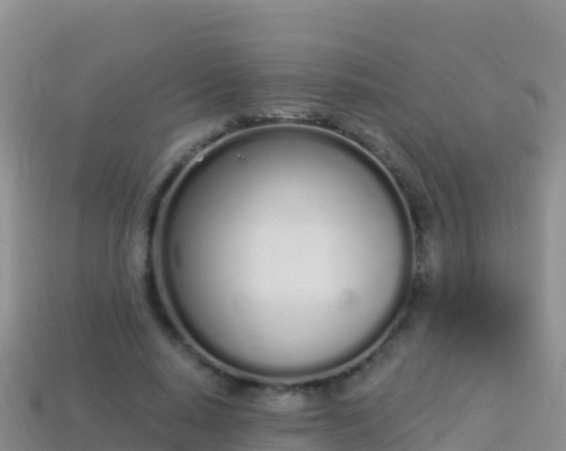 X0000114030640200910091435