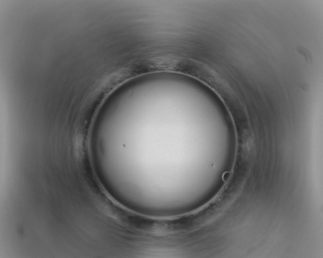 X0000114030641200910091435