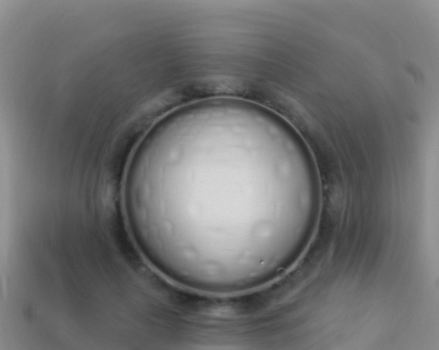 X0000114030643200910091435