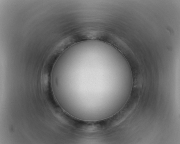 X0000114030646200910091435