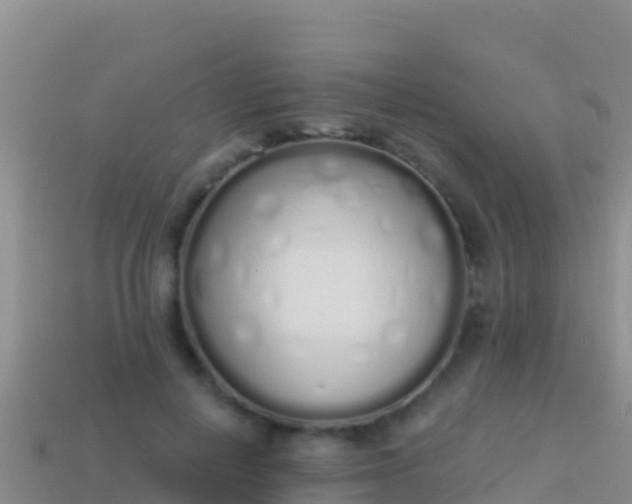 X0000114030648200910091435