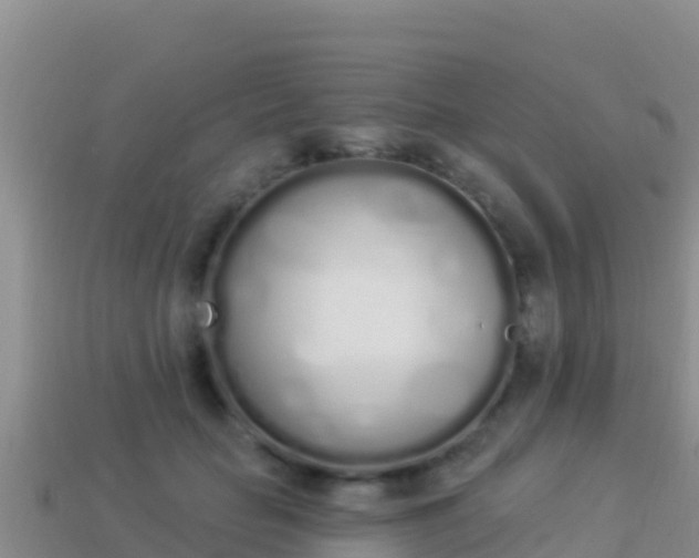 X0000114030653200910091435