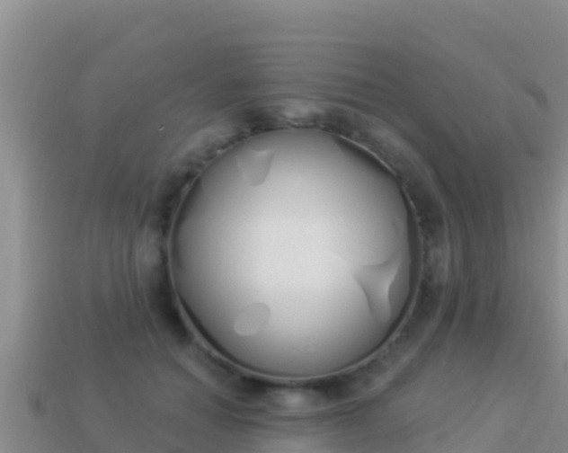 X0000114030654200910091435