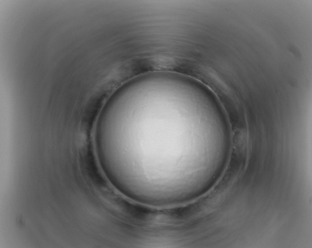 X0000114030655200910091435