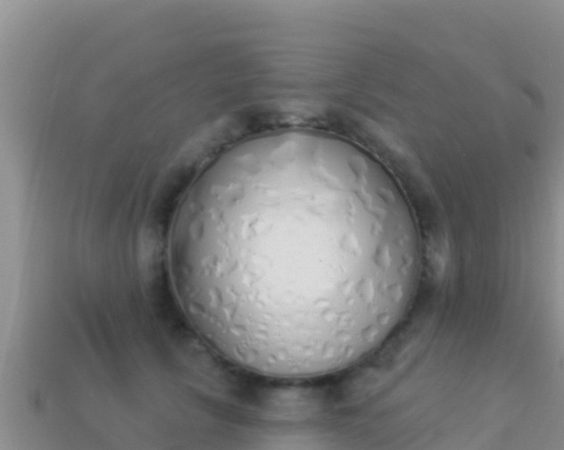 X0000114030657200910091435