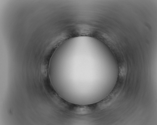 X0000114030666200910091435