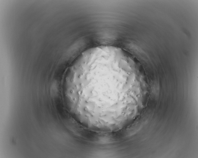 X0000114030667200910091435