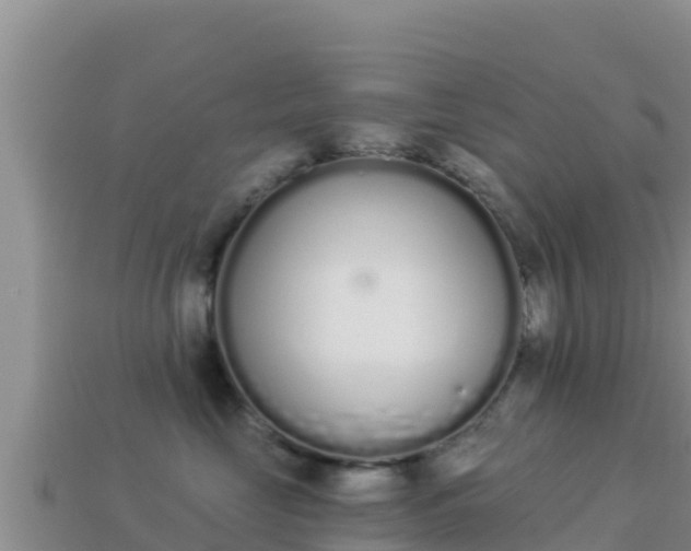 X0000114030669200910091435