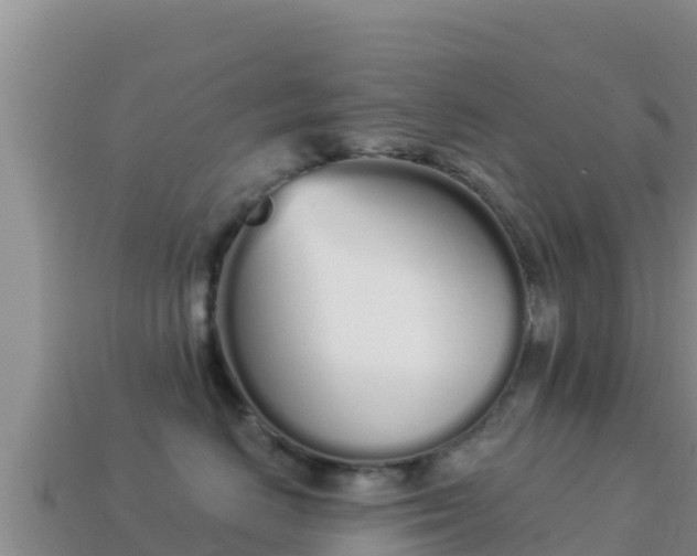 X0000114030670200910091435