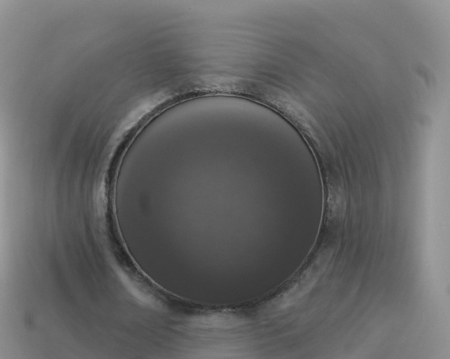 X0000114030674200910091435