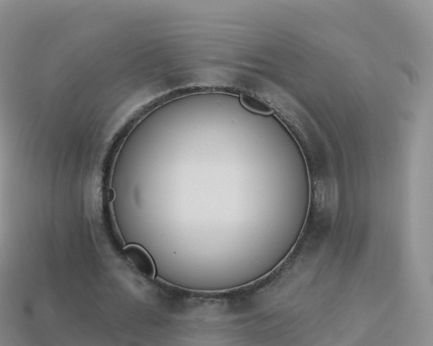 X0000114030676200910091435