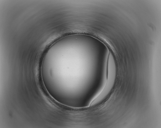 X0000114030677200910091435