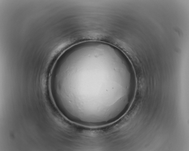 X0000114030679200910091434