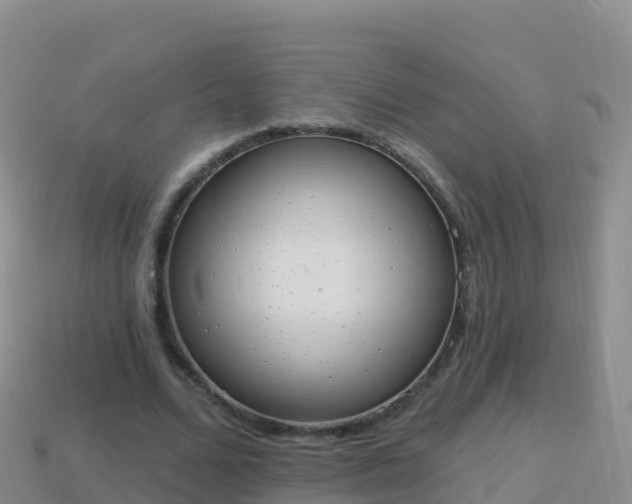 X0000114030680200910091434