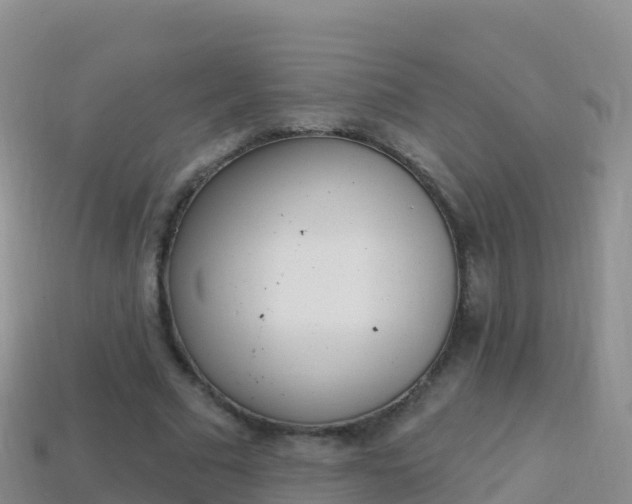 X0000114030681200910091434