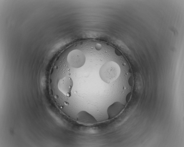 X0000114030683200910091434