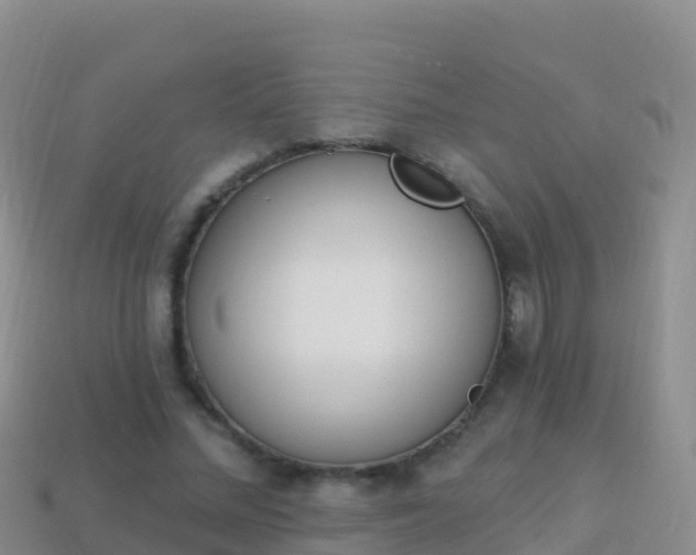 X0000114030684200910091434