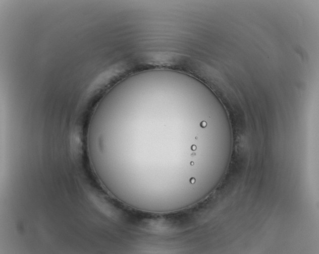 X0000114030688200910091434