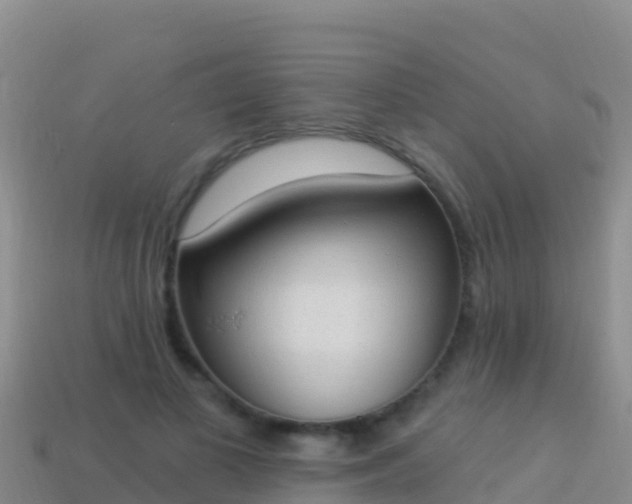 X0000114030693200910091434