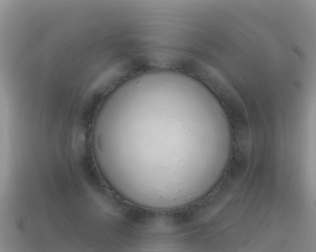 X0000114030696200910091434