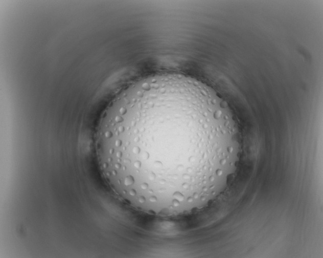 X0000114030706200910091434