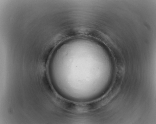 X0000114030707200910091434