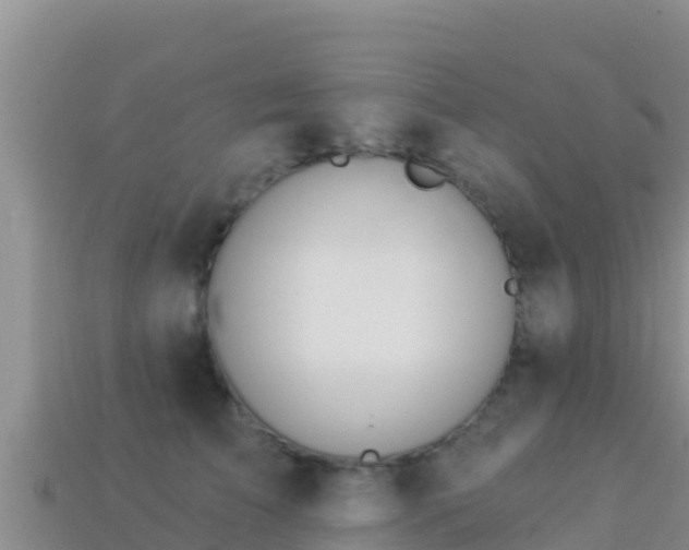 X0000114030709200910091434