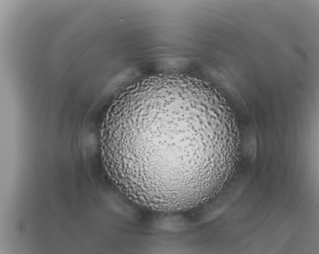 X0000114030716200910091434