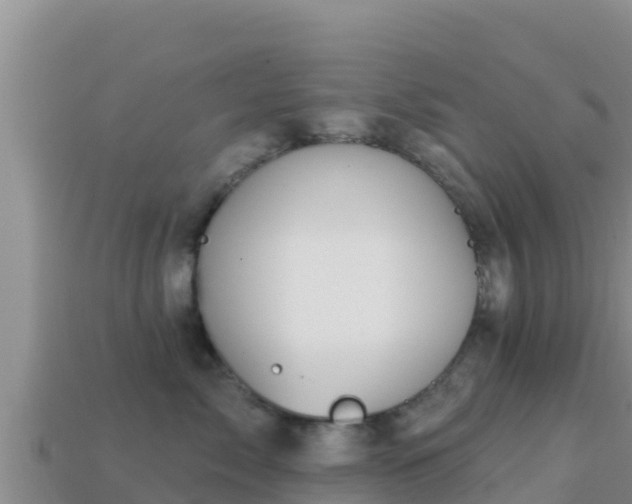 X0000114030717200910091434