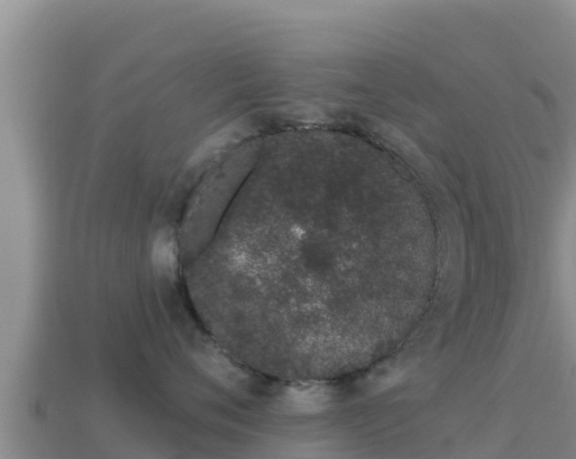X0000114030720200910091434