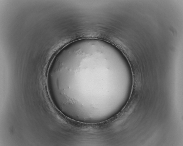 X0000114030721200910091433