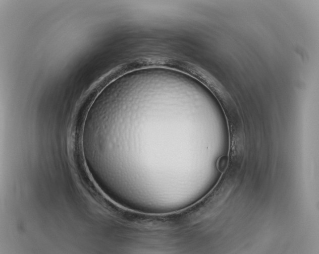 X0000114030722200910091433