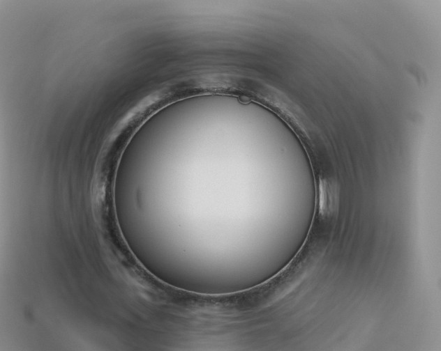 X0000114030723200910091433