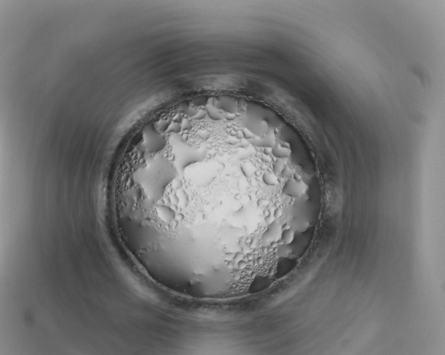 X0000114030725200910091433