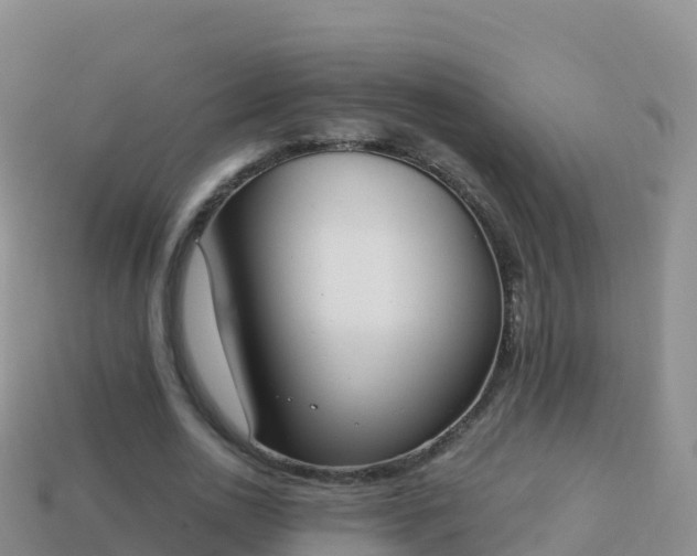 X0000114030726200910091433