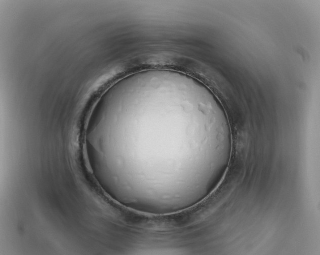 X0000114030727200910091433