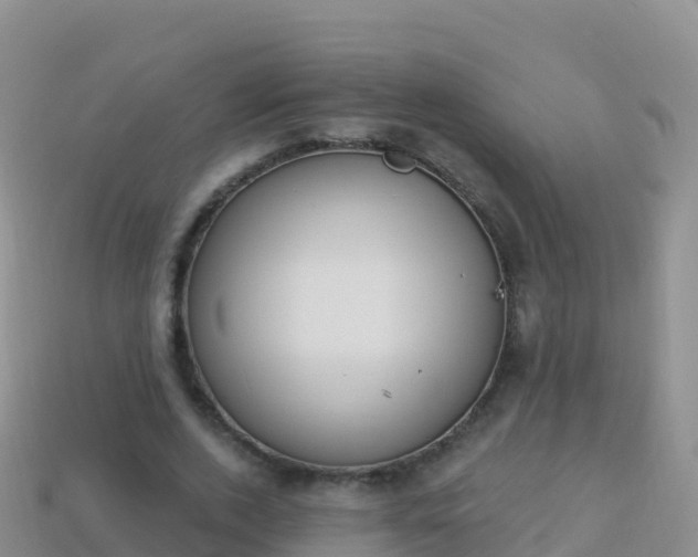 X0000114030728200910091433