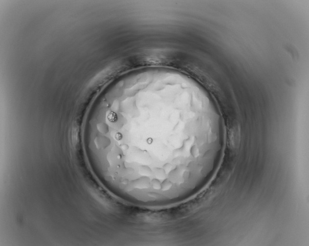 X0000114030733200910091433