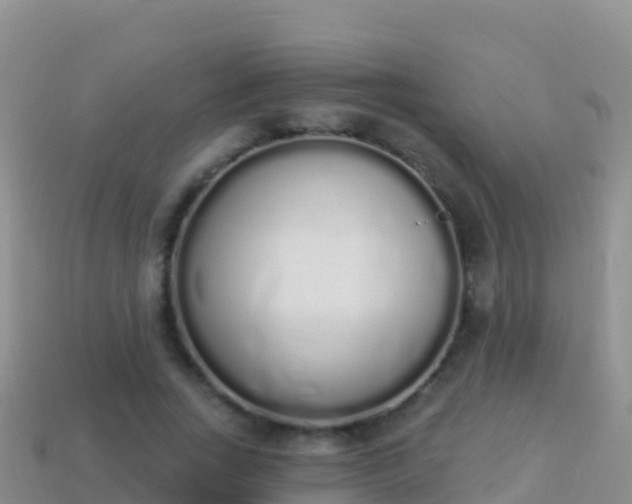 X0000114030735200910091434