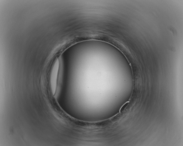 X0000114030736200910091434