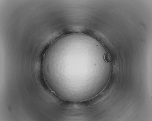 X0000114030739200910091434