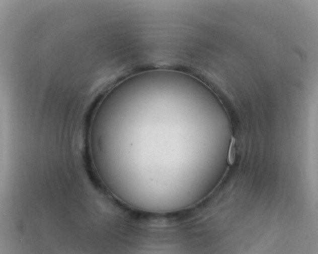 X0000114030740200910091434