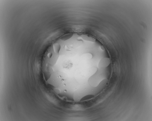 X0000114030741200910091434