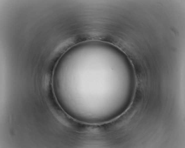 X0000114030742200910091434