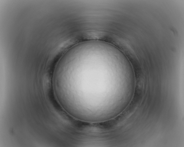 X0000114030743200910091434