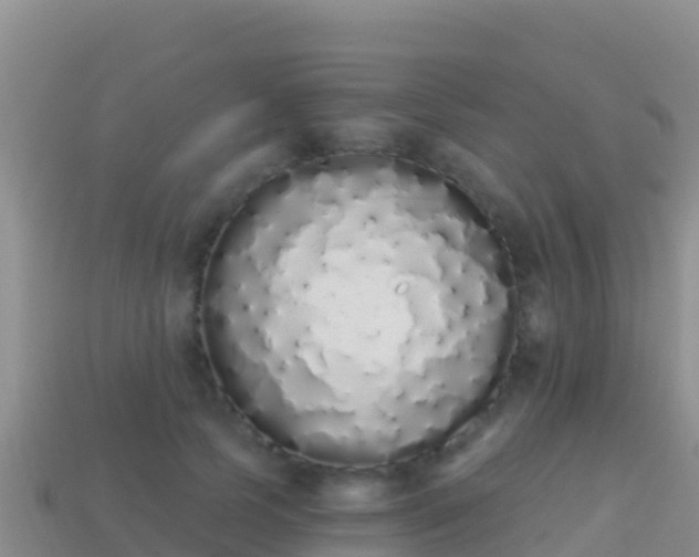 X0000114030745200910091434
