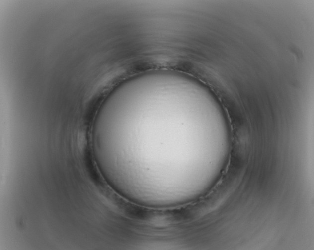 X0000114030746200910091434